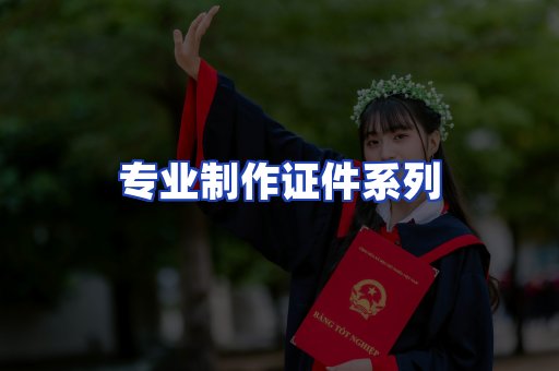 专业制作证件系列