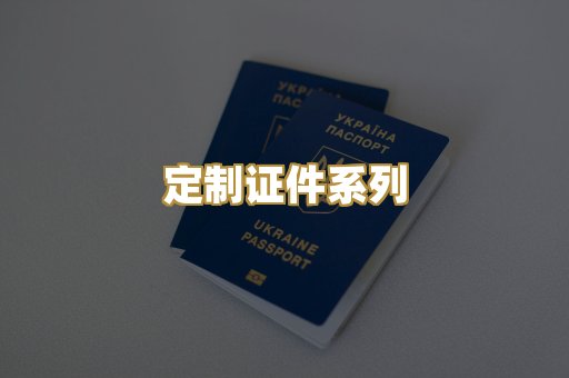 定制证件系列